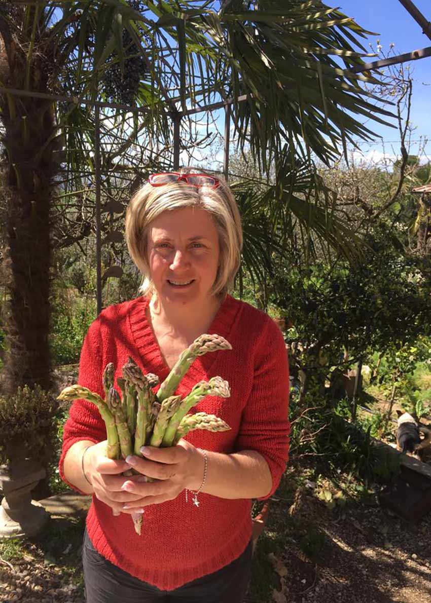 raccolta asparagi