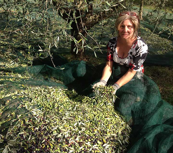 Produttore olio di oliva