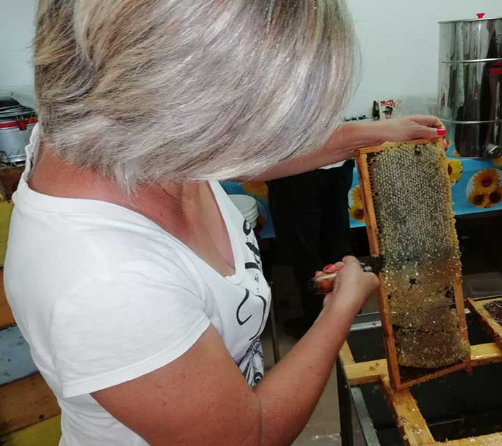 produzione miele millefiori