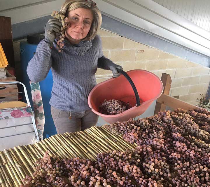 vin santo umbria